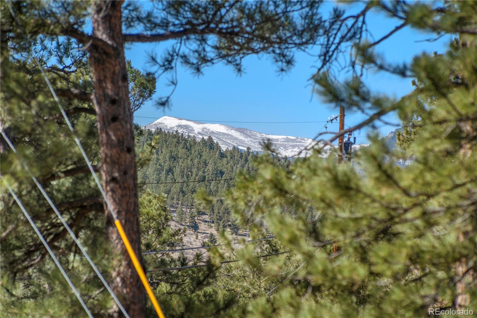MLS Image #4 for 29309  buchanan drive,evergreen, Colorado