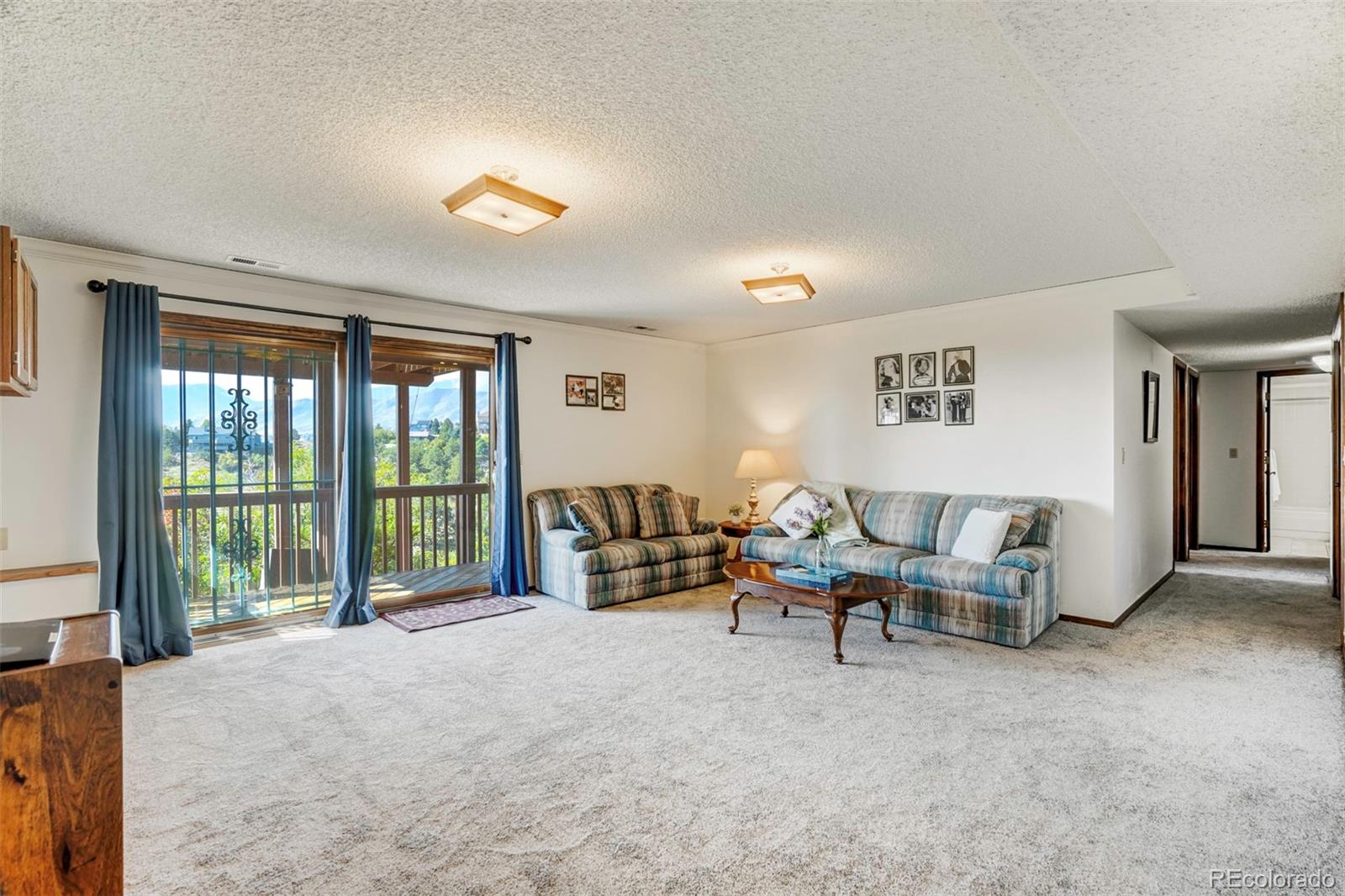 MLS Image #45 for 1575  oak hills drive,colorado springs, Colorado