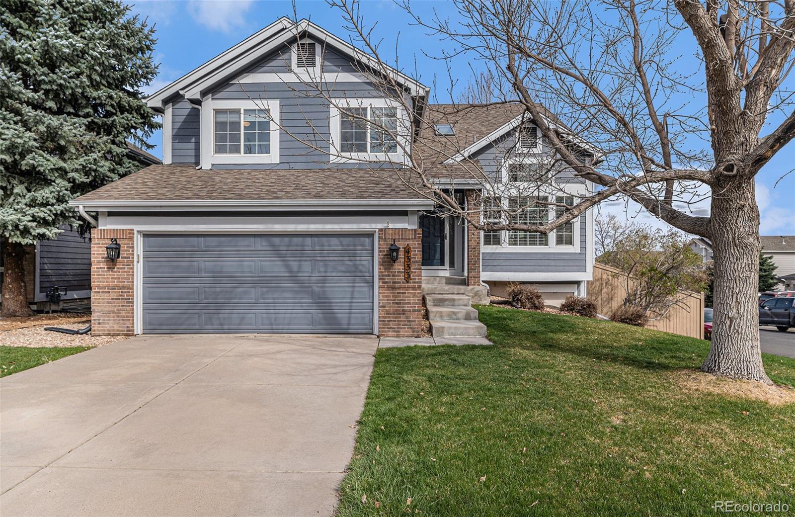 CMA Image for 4483  fell mist way,Castle Rock, Colorado