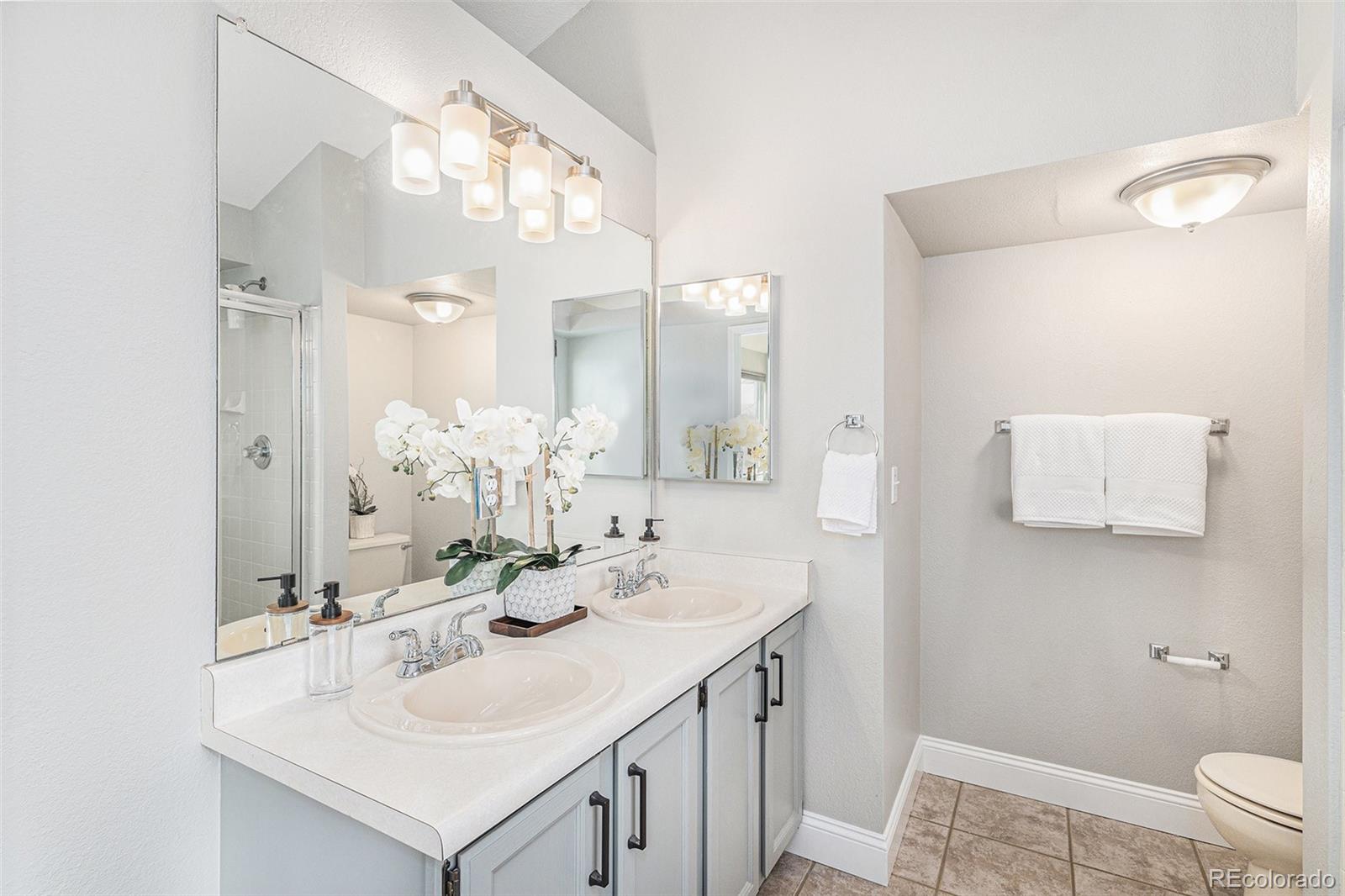 MLS Image #19 for 4333 w mountain vista lane,castle rock, Colorado
