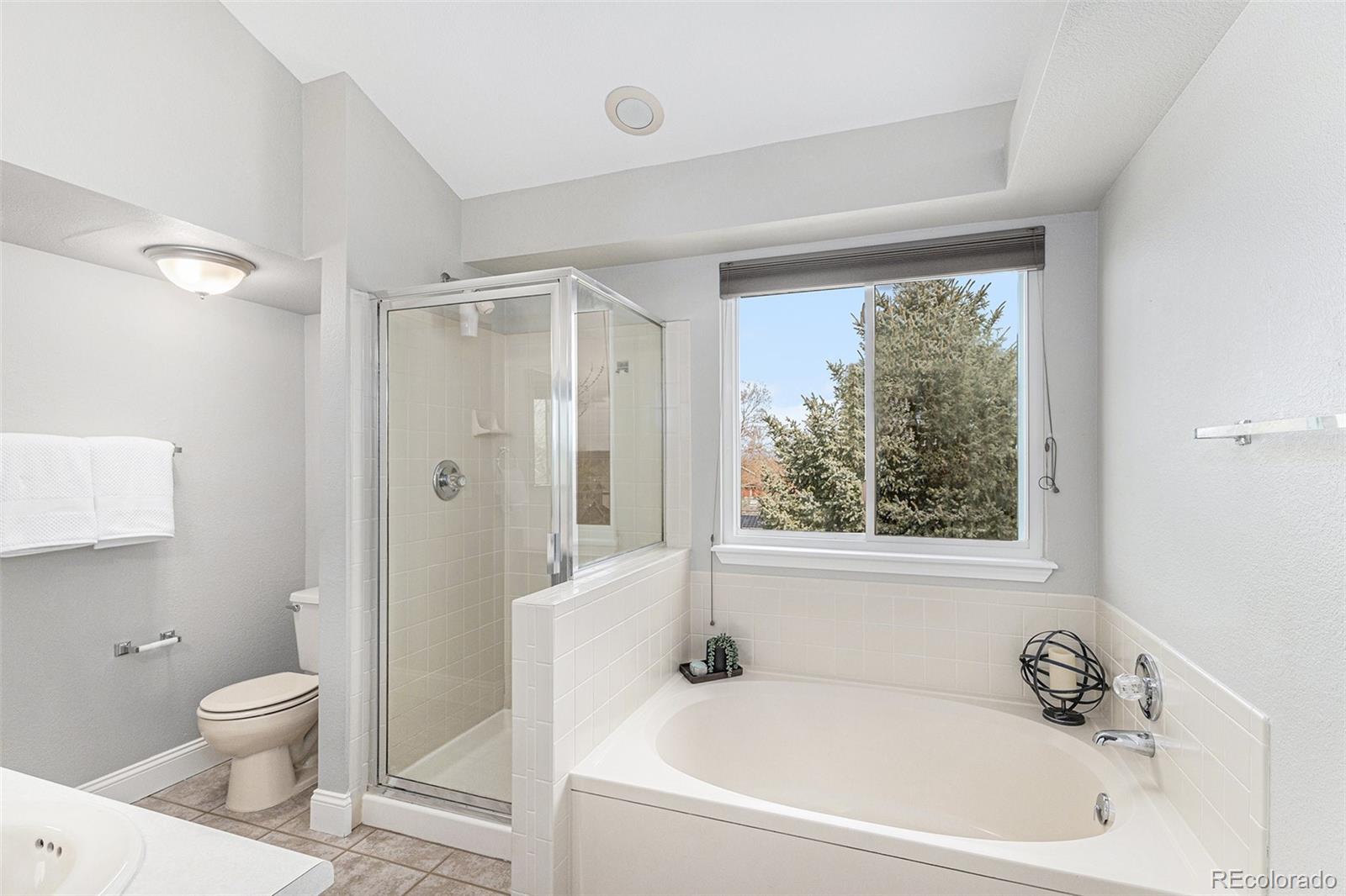 MLS Image #20 for 4333 w mountain vista lane,castle rock, Colorado