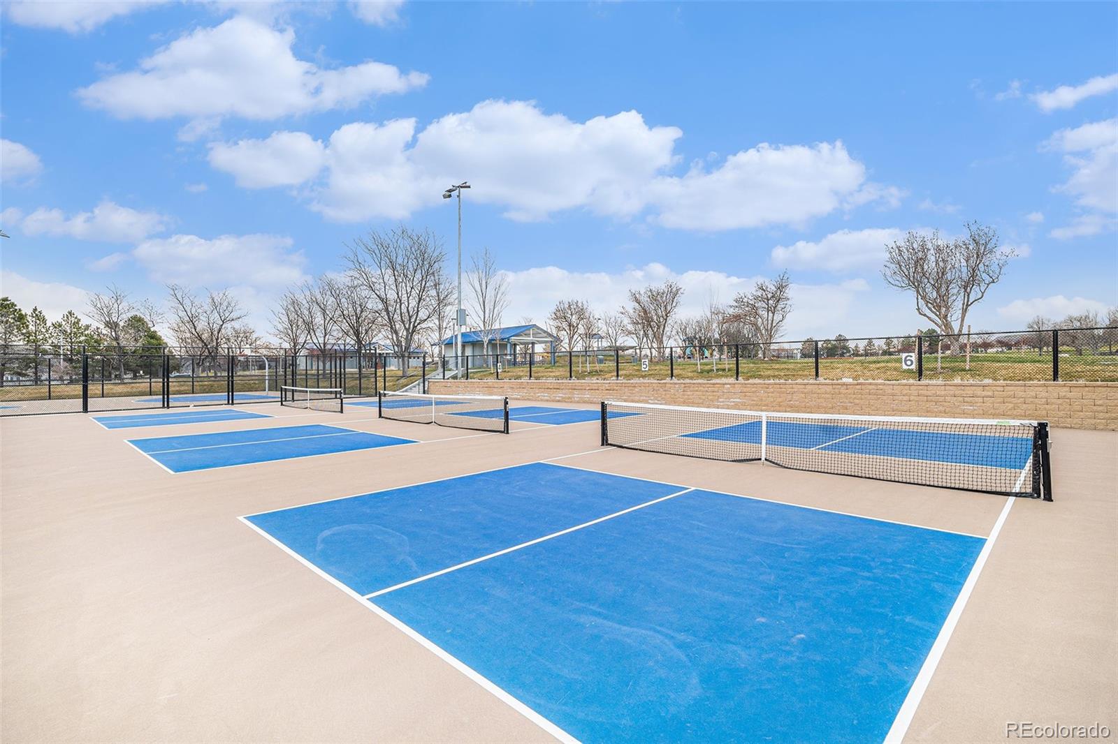 MLS Image #40 for 4333 w mountain vista lane,castle rock, Colorado