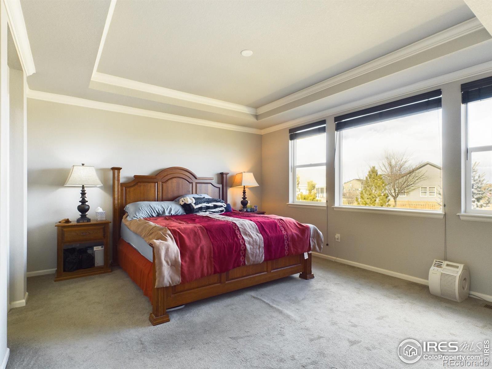 MLS Image #10 for 5366  bowen lake court,timnath, Colorado