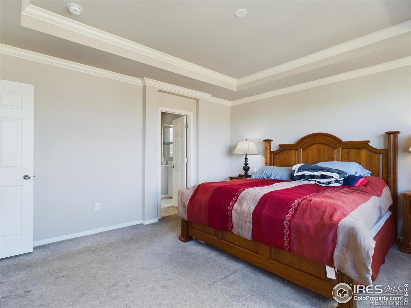 MLS Image #11 for 5366  bowen lake court,timnath, Colorado