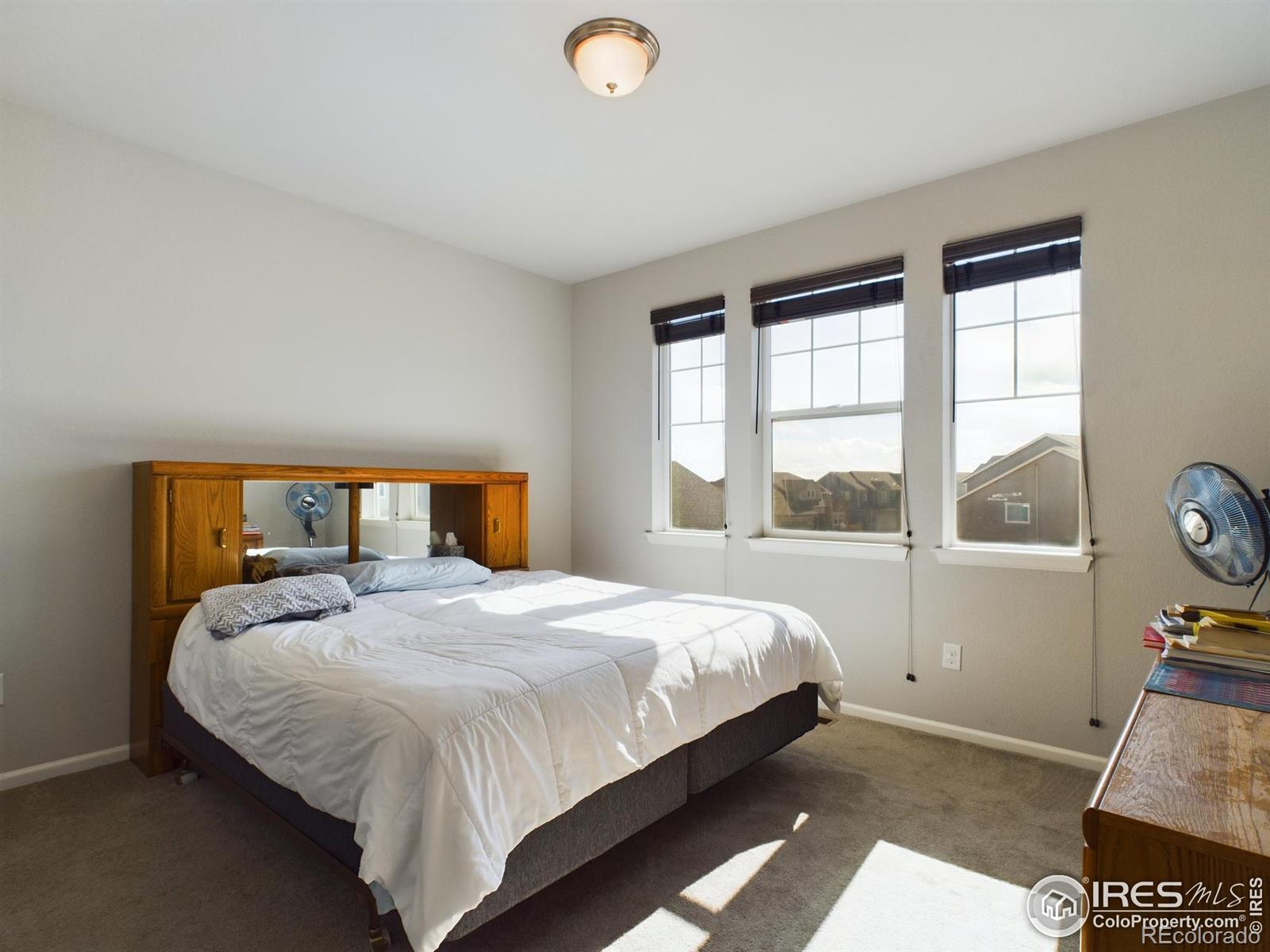 MLS Image #22 for 5366  bowen lake court,timnath, Colorado
