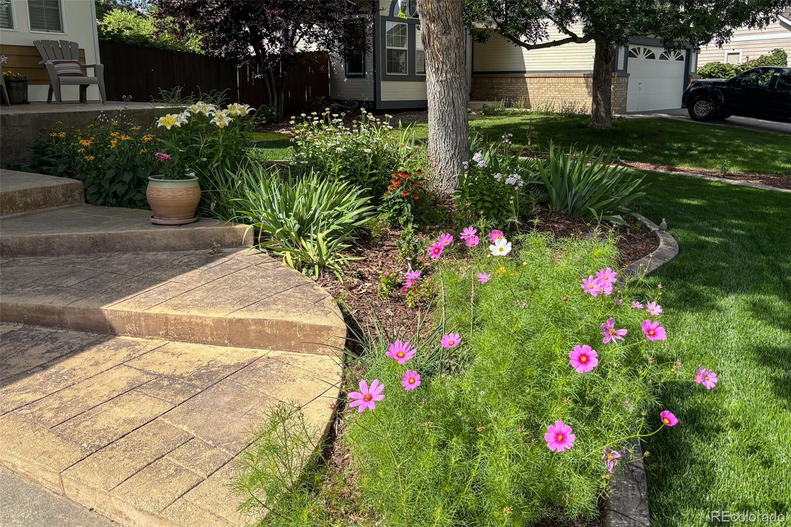MLS Image #25 for 6526  nile circle,arvada, Colorado