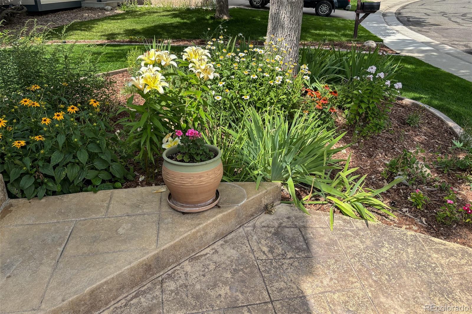 MLS Image #26 for 6526  nile circle,arvada, Colorado