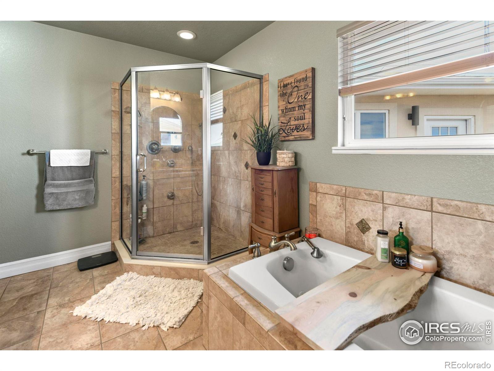 MLS Image #21 for 33409  faith lane,eaton, Colorado