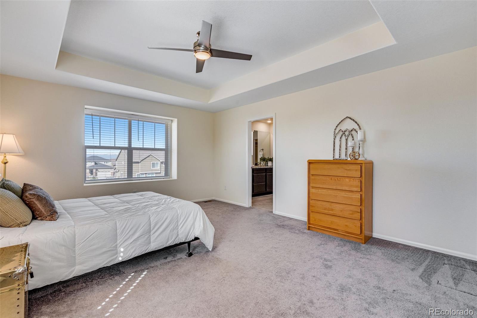 MLS Image #12 for 9367  richfield street,commerce city, Colorado