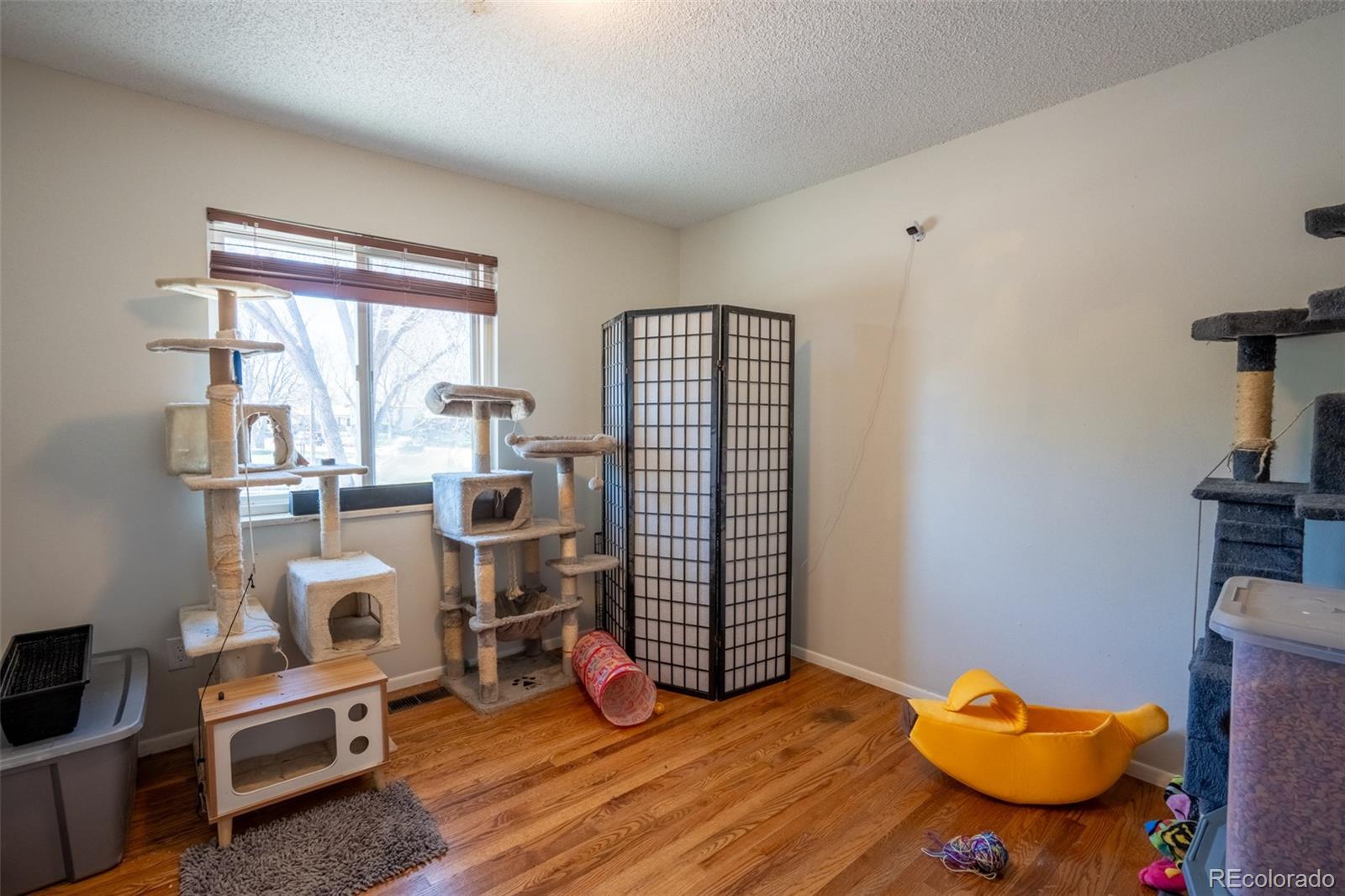 MLS Image #11 for 405  de la vista circle,colorado springs, Colorado