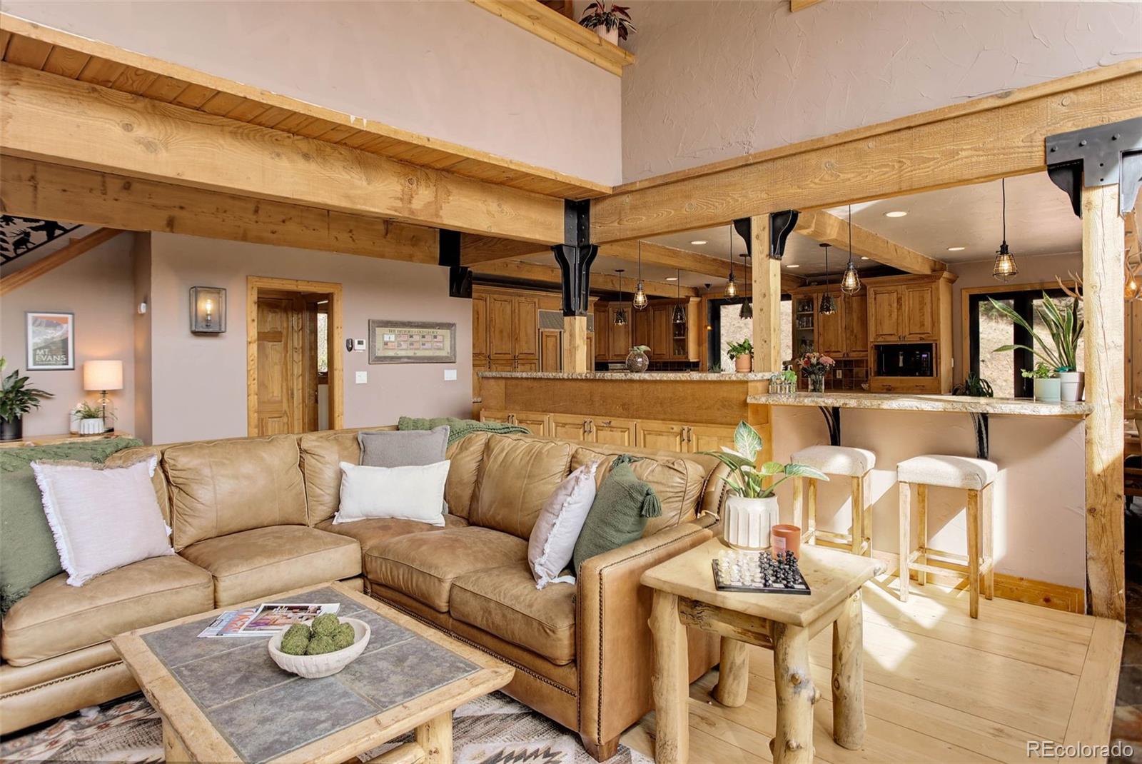MLS Image #10 for 205  yankee creek trail,evergreen, Colorado