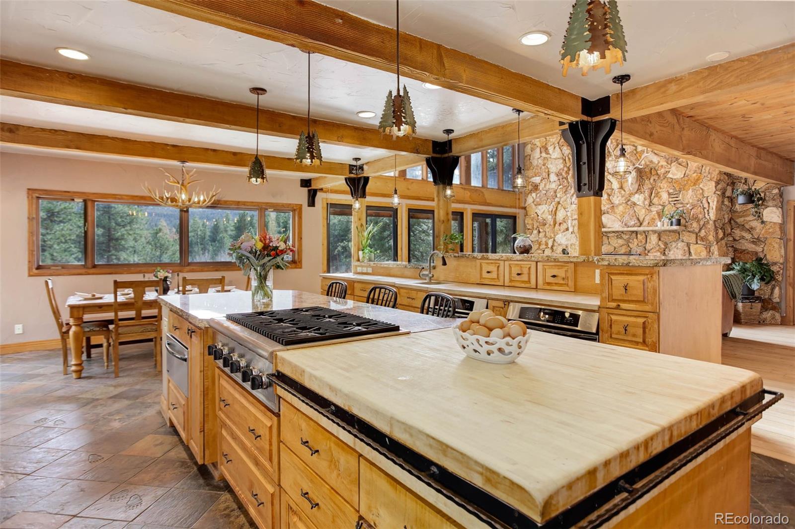 MLS Image #11 for 205  yankee creek trail,evergreen, Colorado