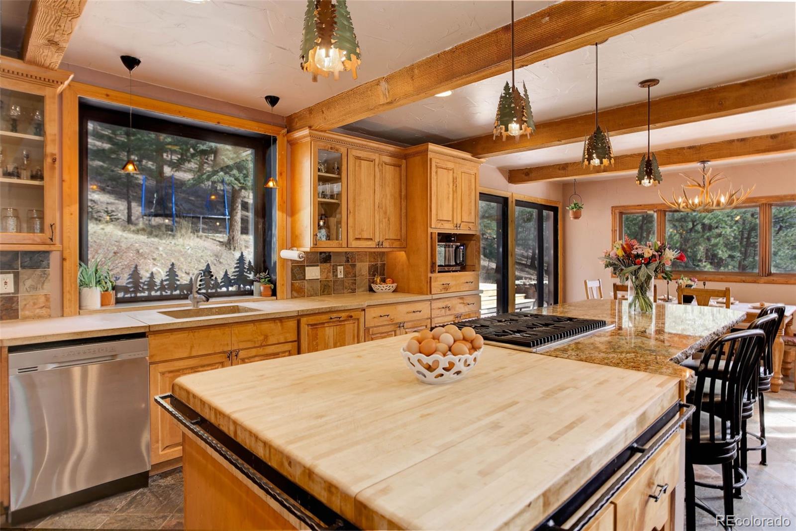 MLS Image #13 for 205  yankee creek trail,evergreen, Colorado