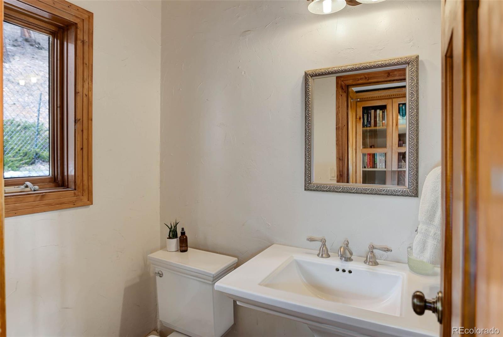 MLS Image #17 for 205  yankee creek trail,evergreen, Colorado