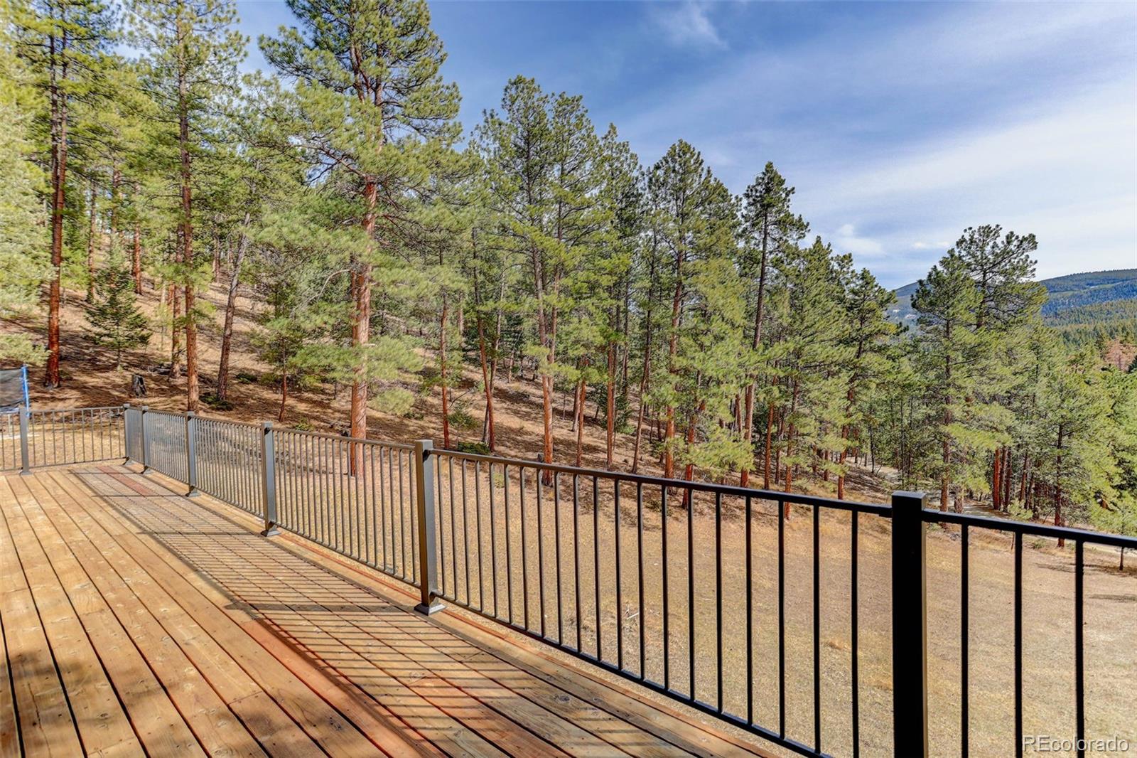 MLS Image #30 for 205  yankee creek trail,evergreen, Colorado