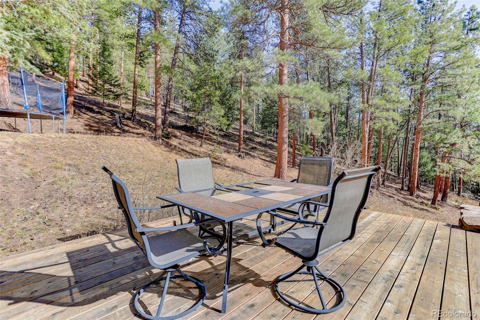MLS Image #37 for 205  yankee creek trail,evergreen, Colorado