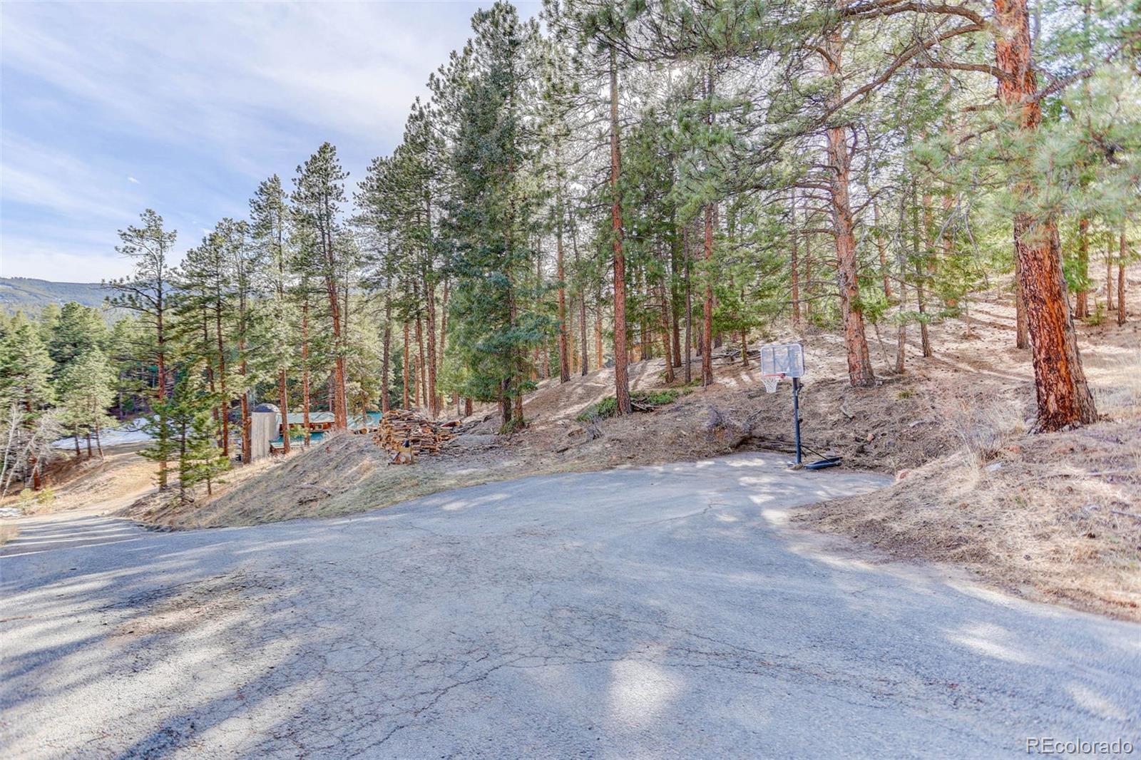 MLS Image #43 for 205  yankee creek trail,evergreen, Colorado
