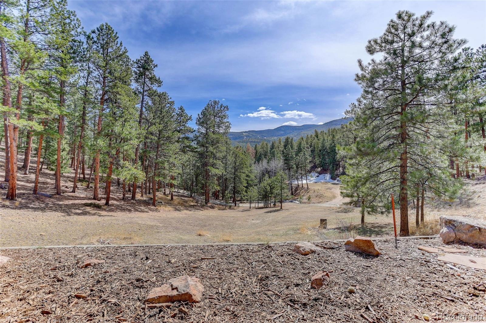 MLS Image #44 for 205  yankee creek trail,evergreen, Colorado