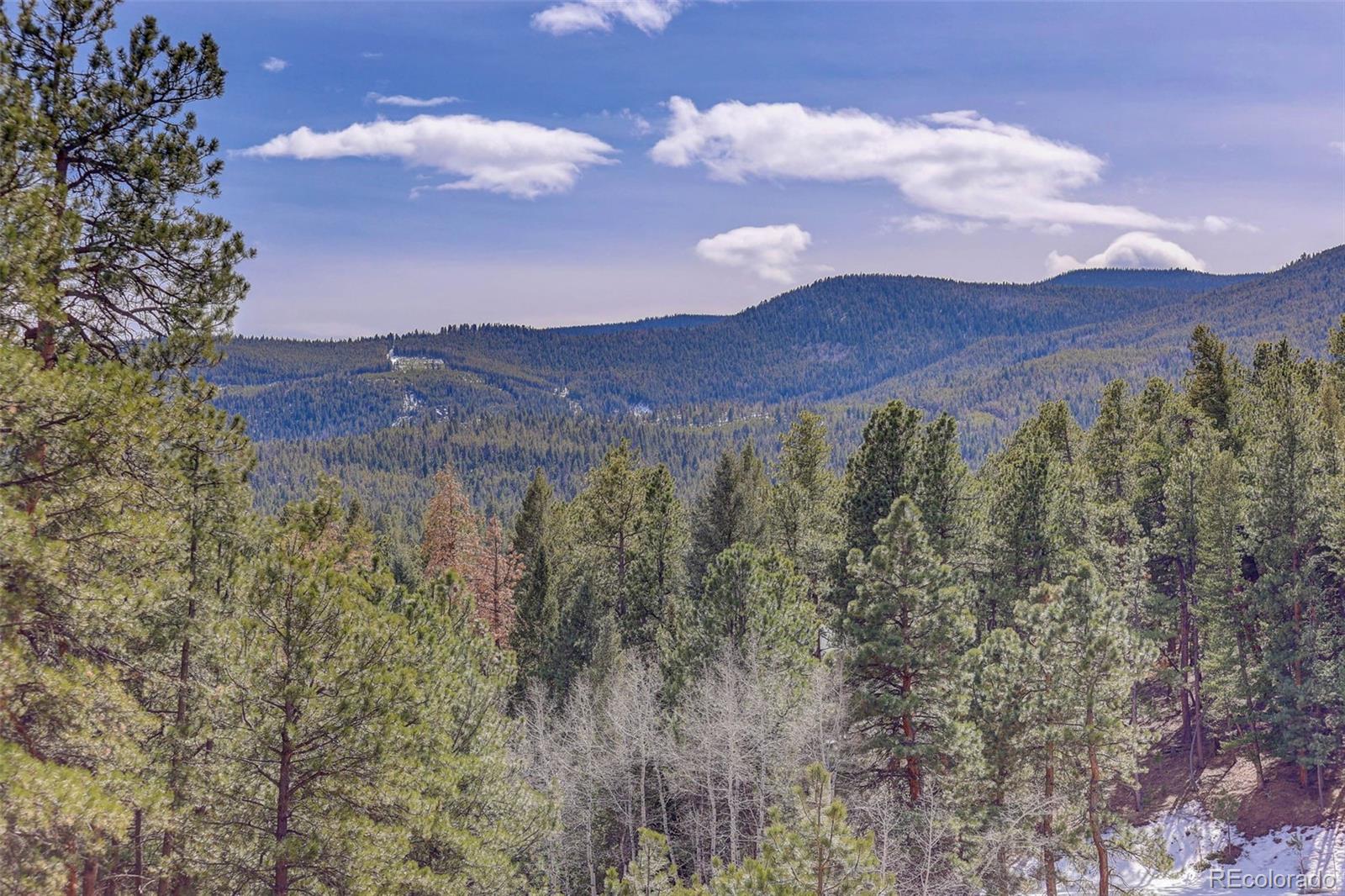 MLS Image #45 for 205  yankee creek trail,evergreen, Colorado