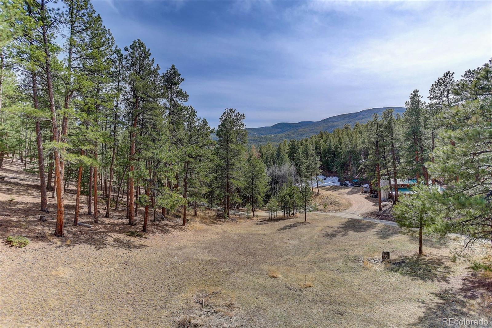 MLS Image #46 for 205  yankee creek trail,evergreen, Colorado