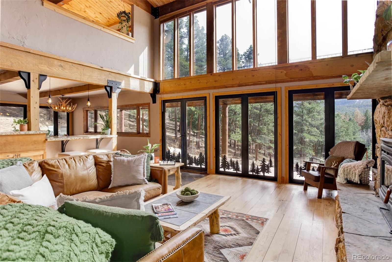 MLS Image #7 for 205  yankee creek trail,evergreen, Colorado