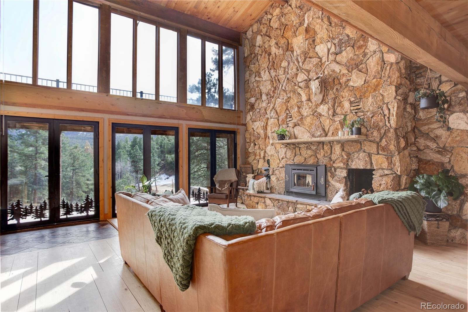 MLS Image #8 for 205  yankee creek trail,evergreen, Colorado