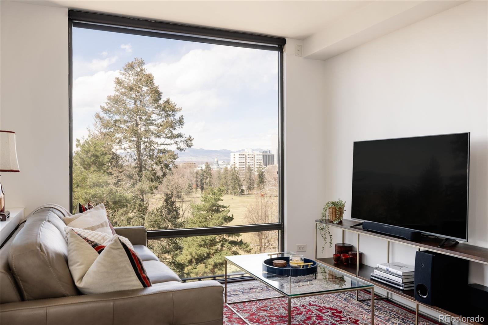 MLS Image #21 for 1111  race street,denver, Colorado