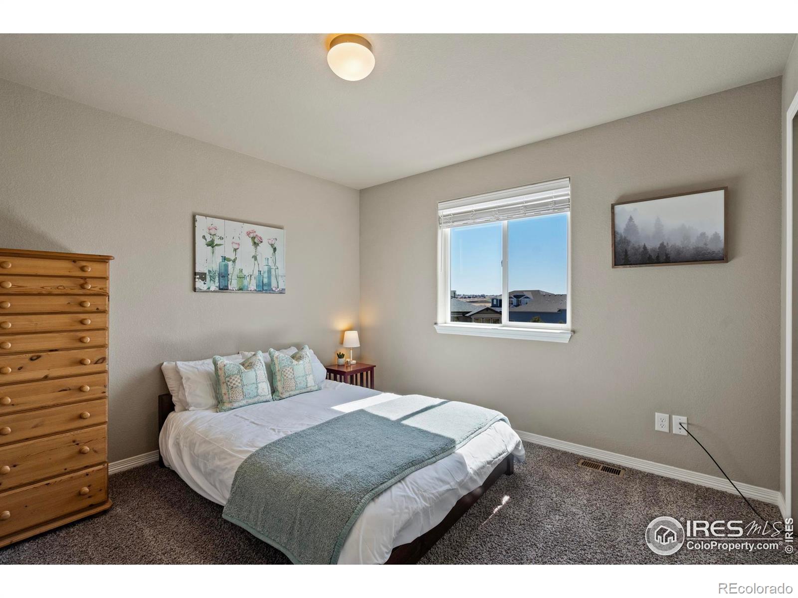 MLS Image #17 for 655  lene lane,berthoud, Colorado
