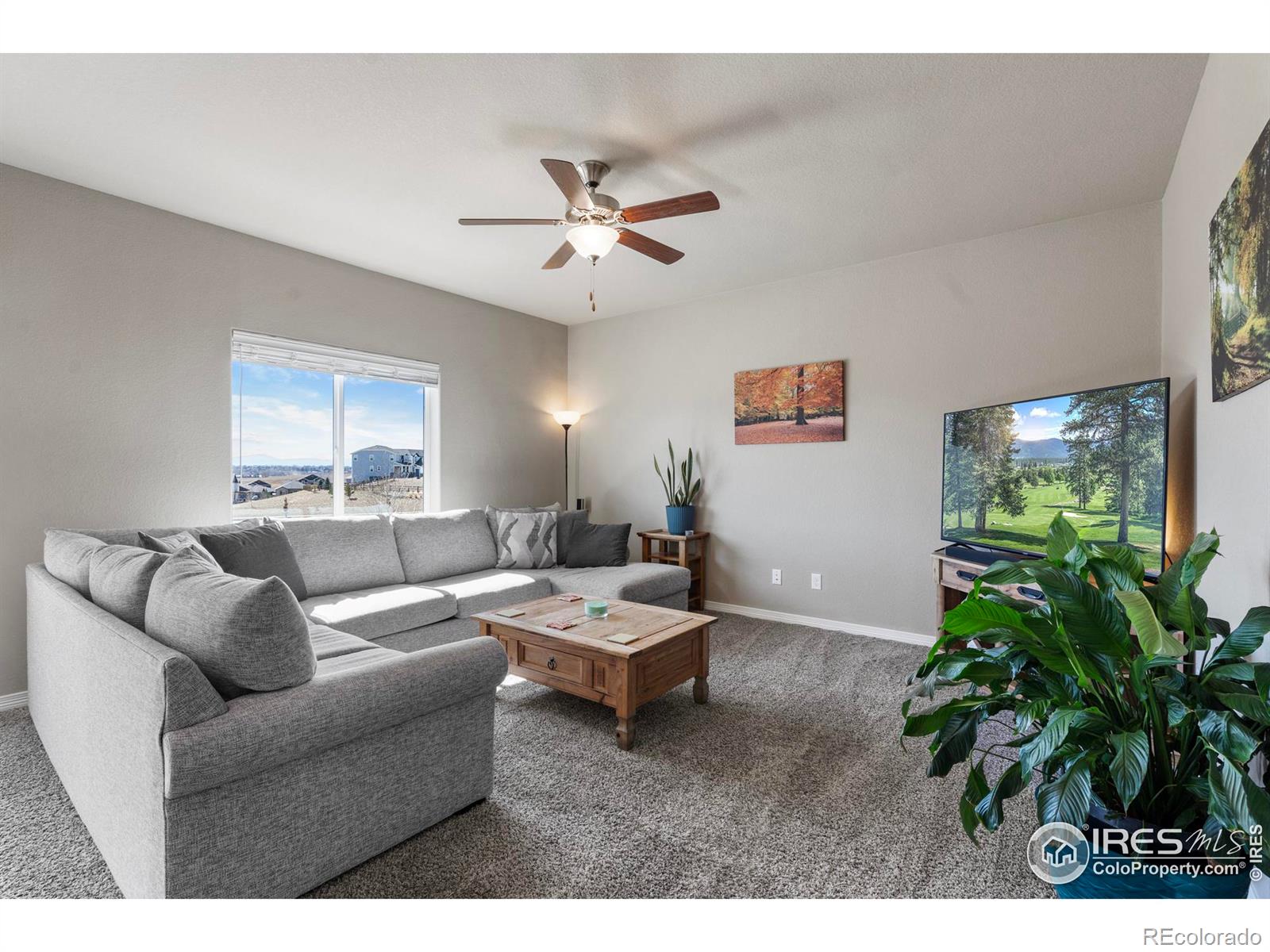 MLS Image #4 for 655  lene lane,berthoud, Colorado