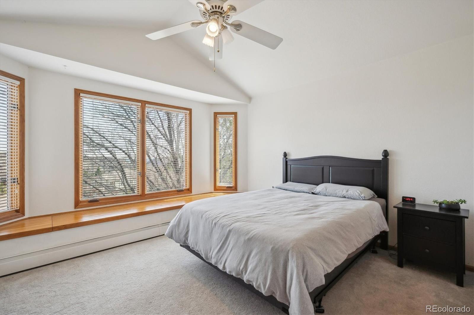 MLS Image #31 for 8  mountain high court,littleton, Colorado