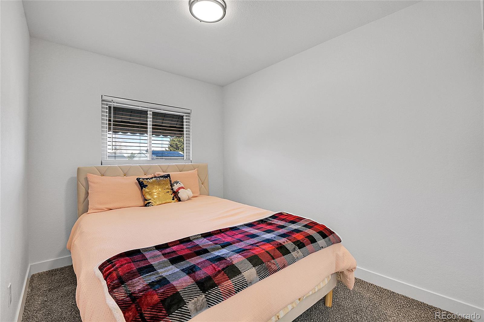 MLS Image #4 for 5183  durham court,denver, Colorado