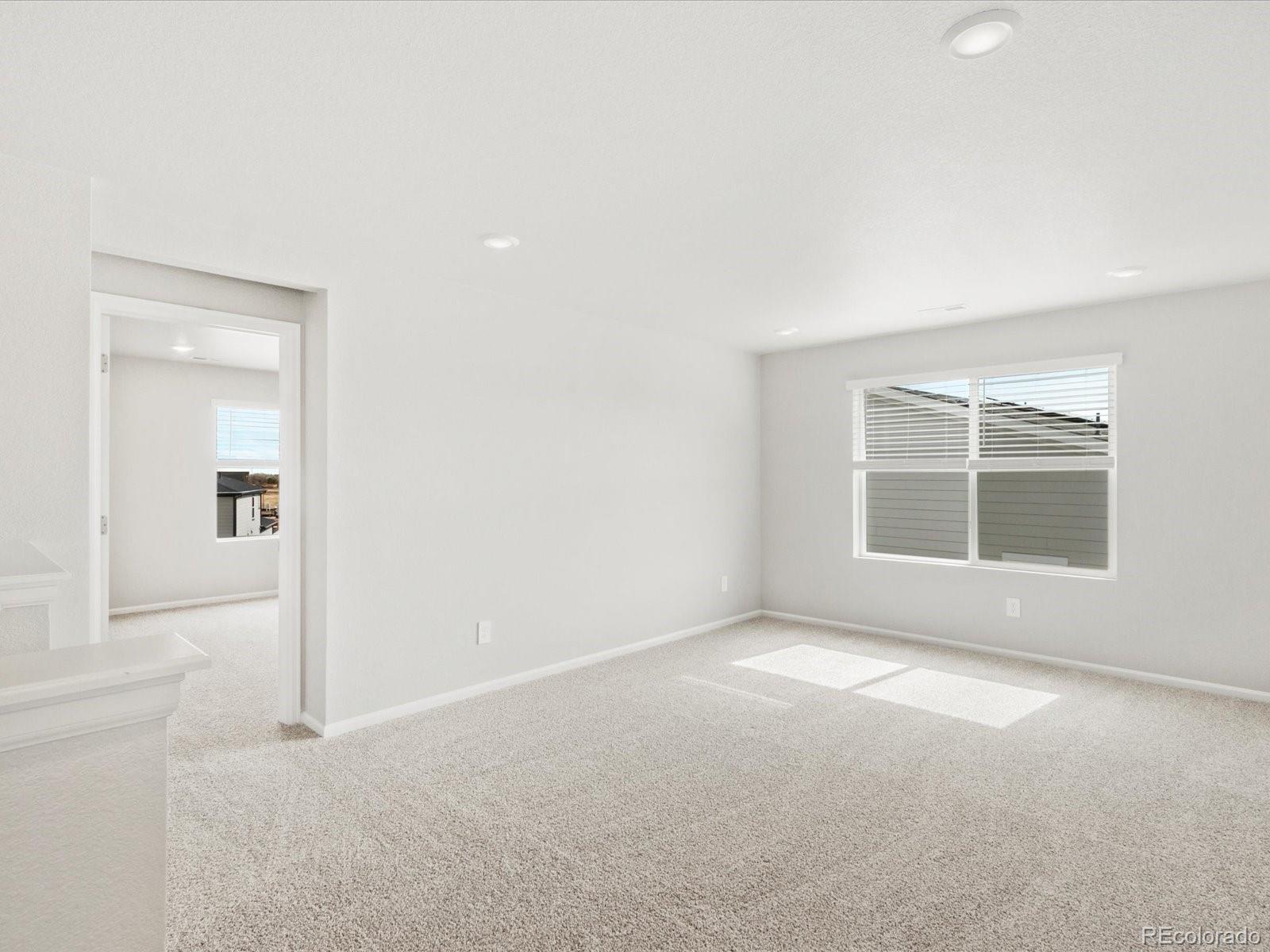 MLS Image #19 for 1653  rumley creek drive,windsor, Colorado