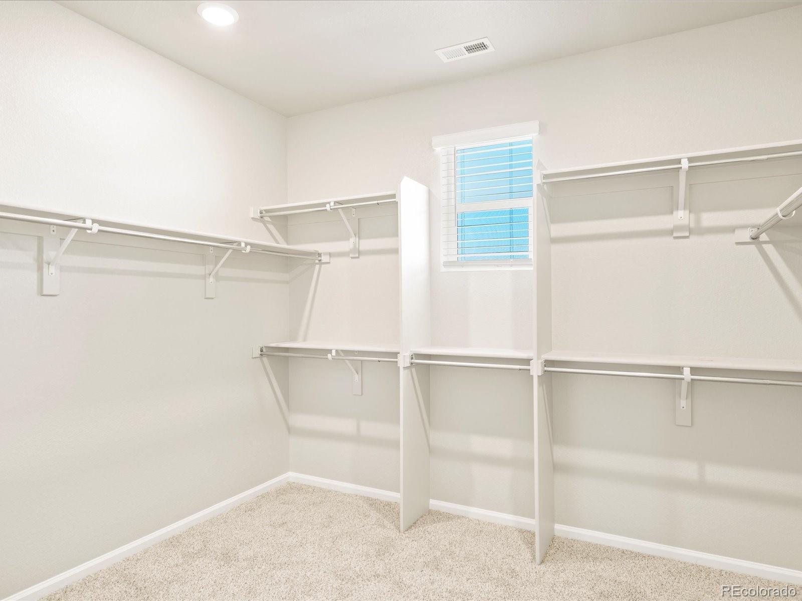 MLS Image #25 for 1621  colorado river drive,windsor, Colorado