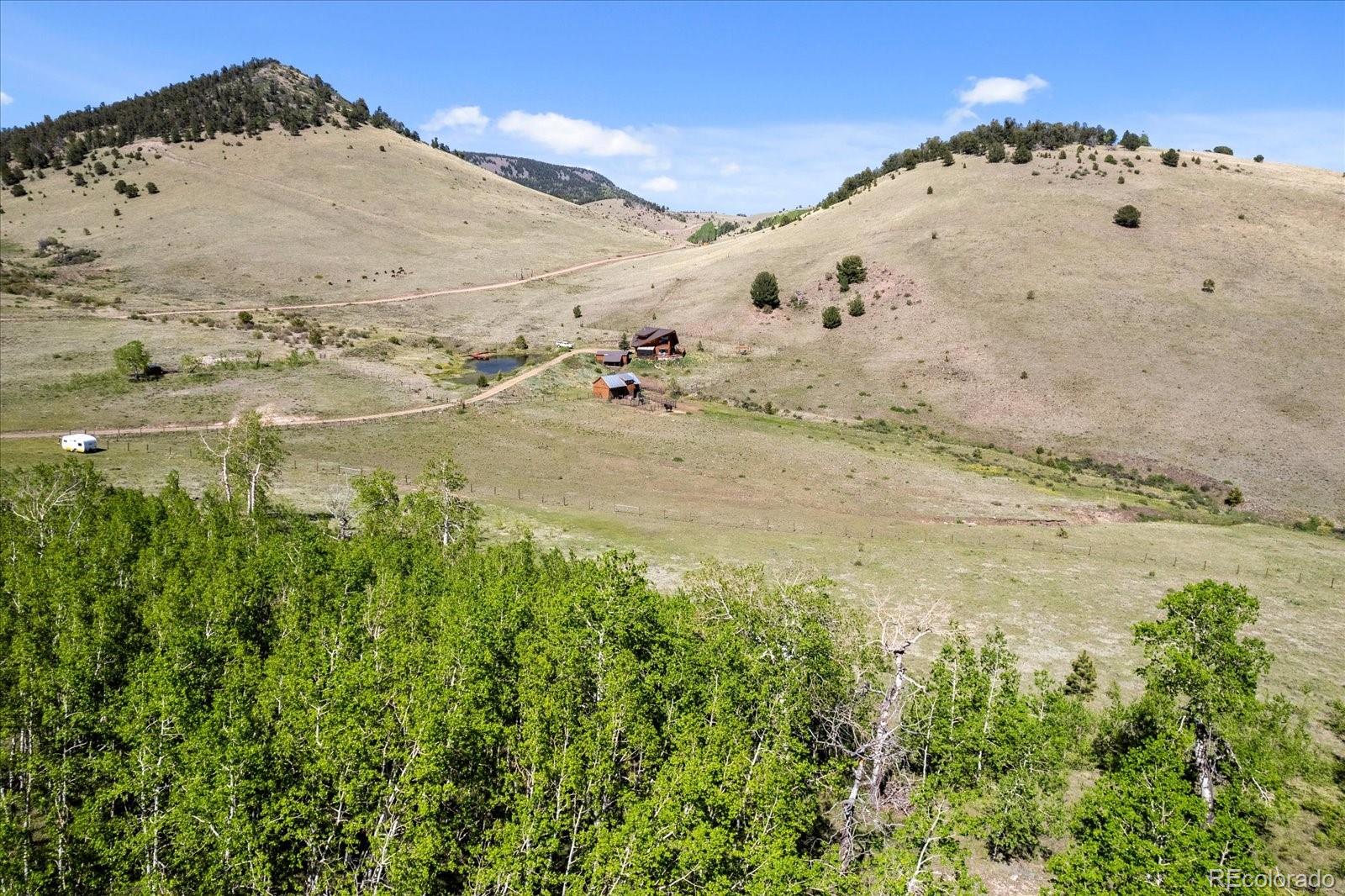 MLS Image #5 for 48  grouse run,cotopaxi, Colorado