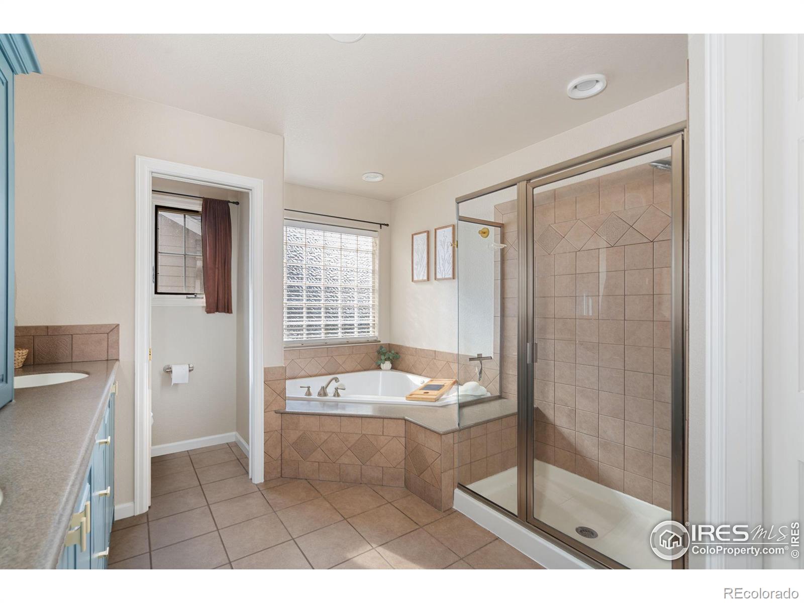 MLS Image #14 for 1913  canopy court,fort collins, Colorado