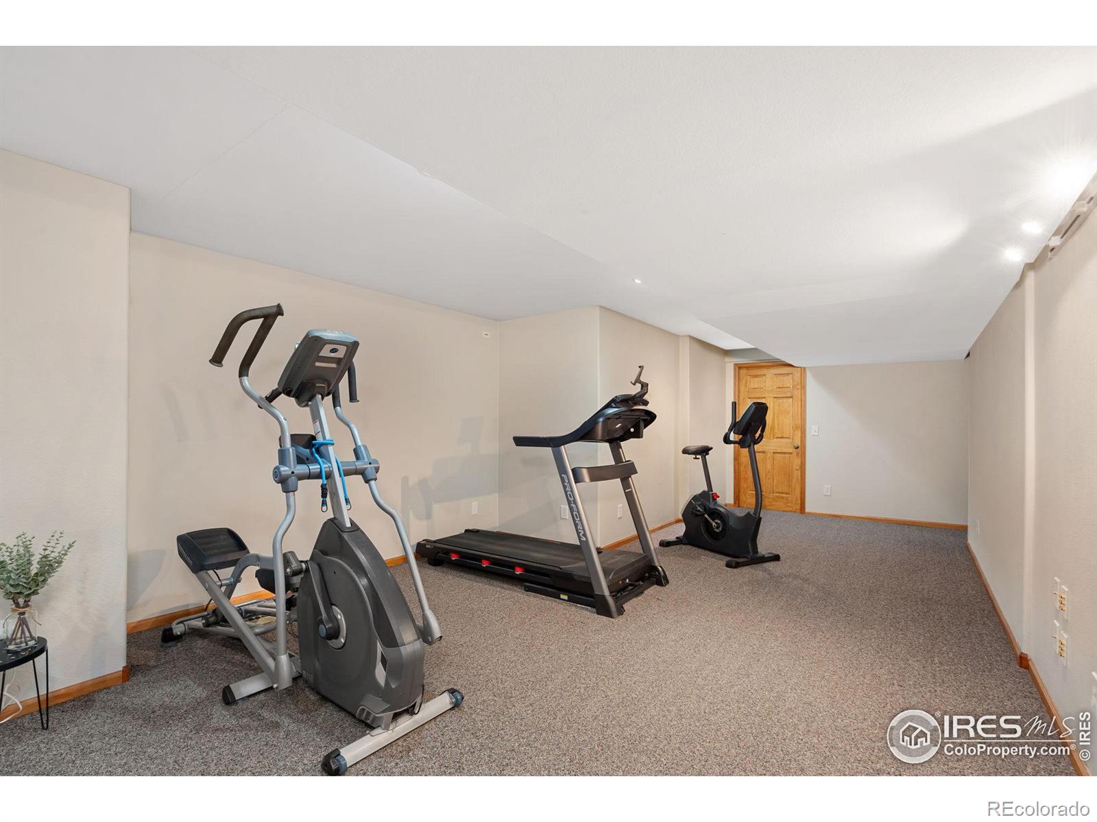 MLS Image #21 for 1913  canopy court,fort collins, Colorado