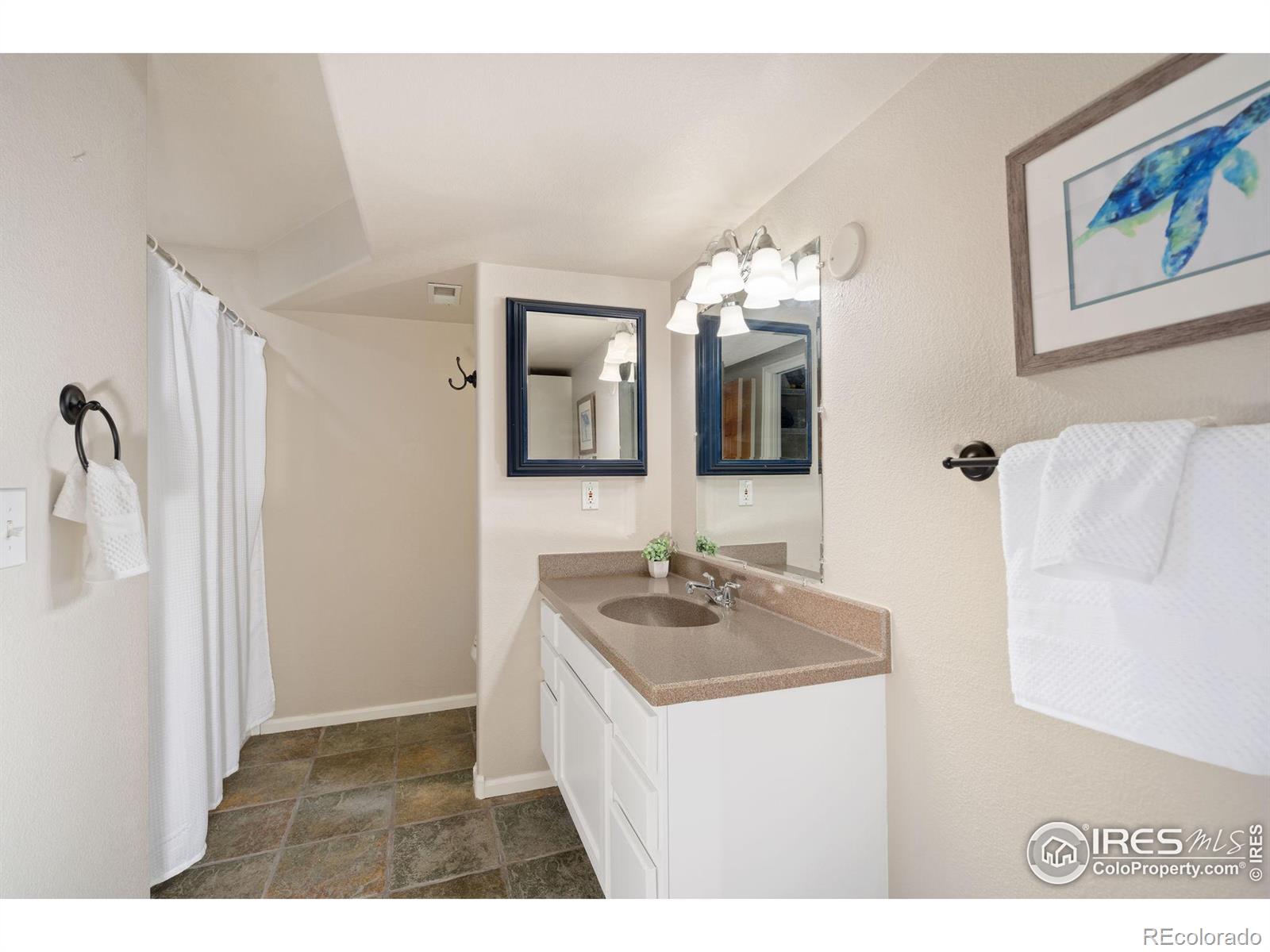 MLS Image #22 for 1913  canopy court,fort collins, Colorado