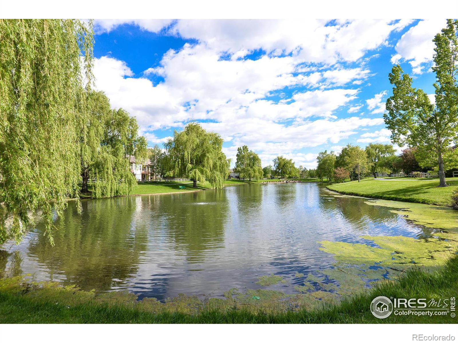 MLS Image #34 for 1913  canopy court,fort collins, Colorado