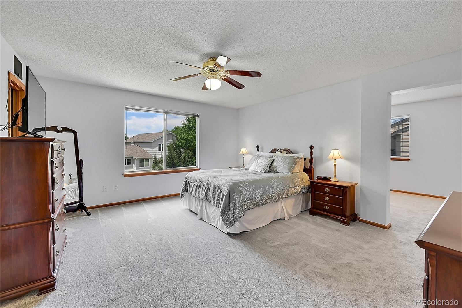 MLS Image #21 for 9717  castle ridge circle,highlands ranch, Colorado