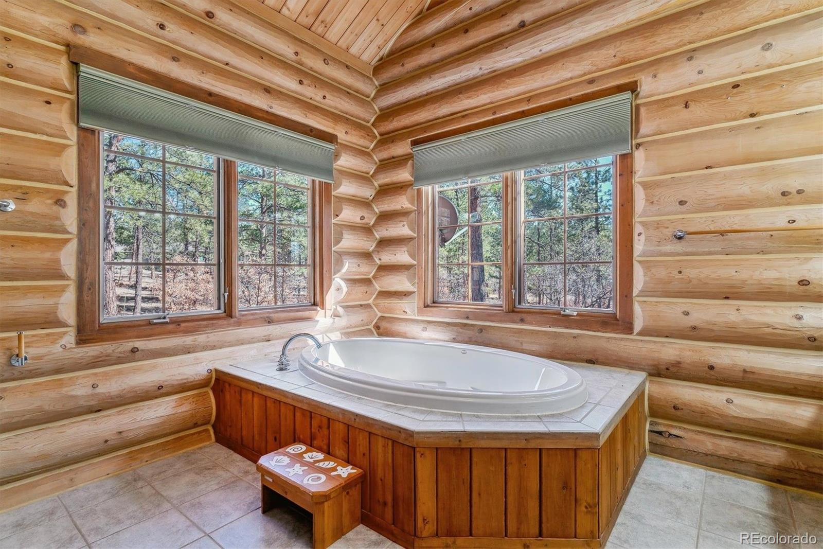 MLS Image #7 for 1772 e timber meadow court,franktown, Colorado