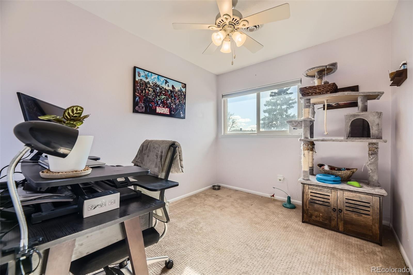MLS Image #11 for 8051  wolff street,westminster, Colorado