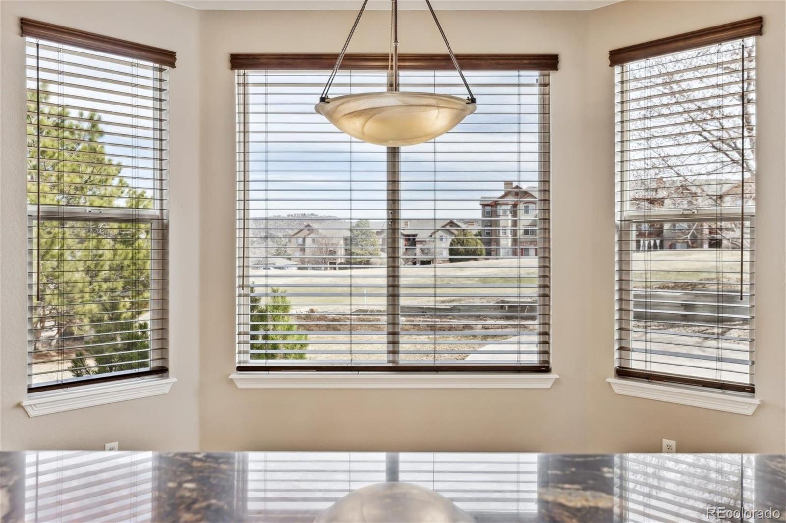 MLS Image #38 for 1328  double eagle court,castle rock, Colorado
