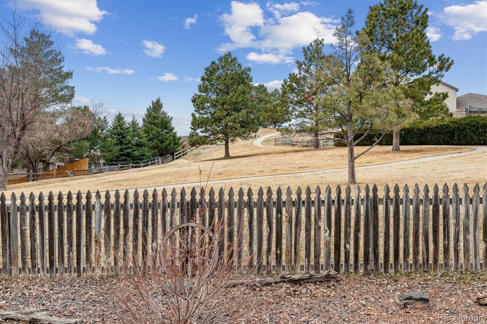 MLS Image #31 for 10825  mount antero way,parker, Colorado