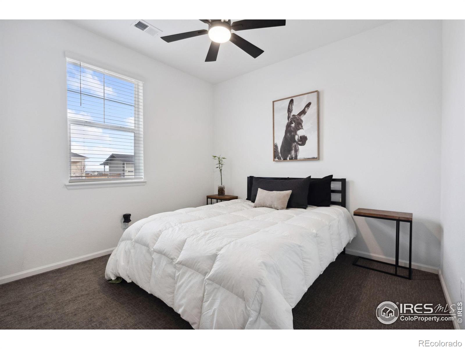 MLS Image #22 for 5687  indian wells court,windsor, Colorado