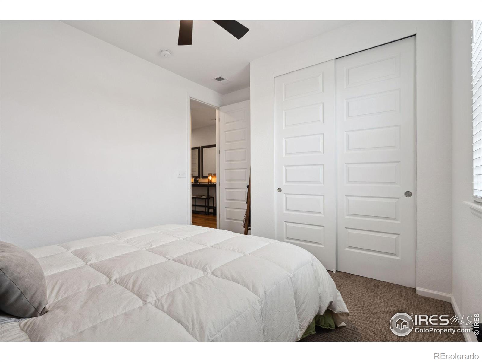 MLS Image #24 for 5687  indian wells court,windsor, Colorado