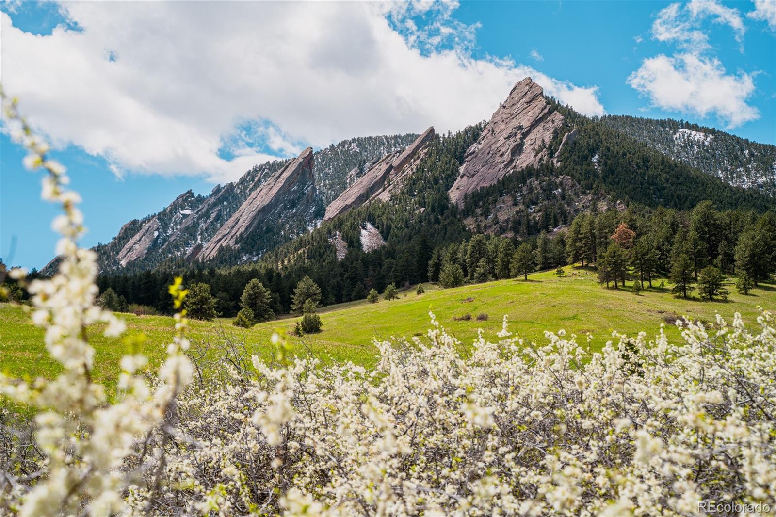 MLS Image #39 for 1835  columbine avenue,boulder, Colorado