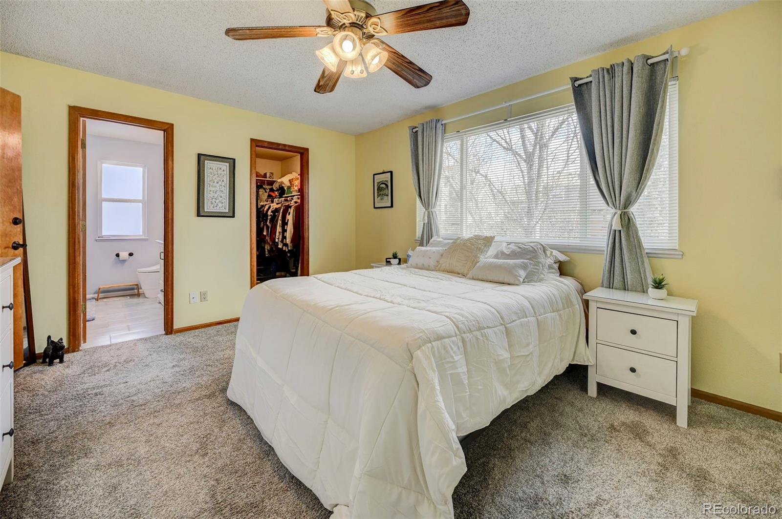 MLS Image #8 for 8303  chancellor drive,colorado springs, Colorado