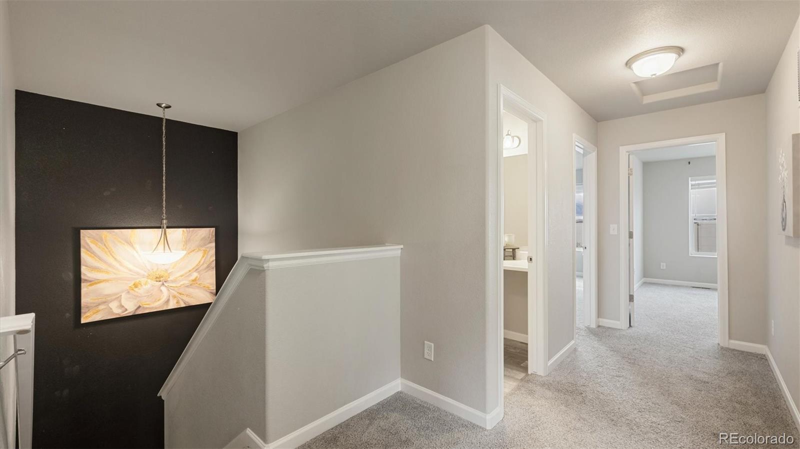 MLS Image #19 for 1008  petra heights,colorado springs, Colorado