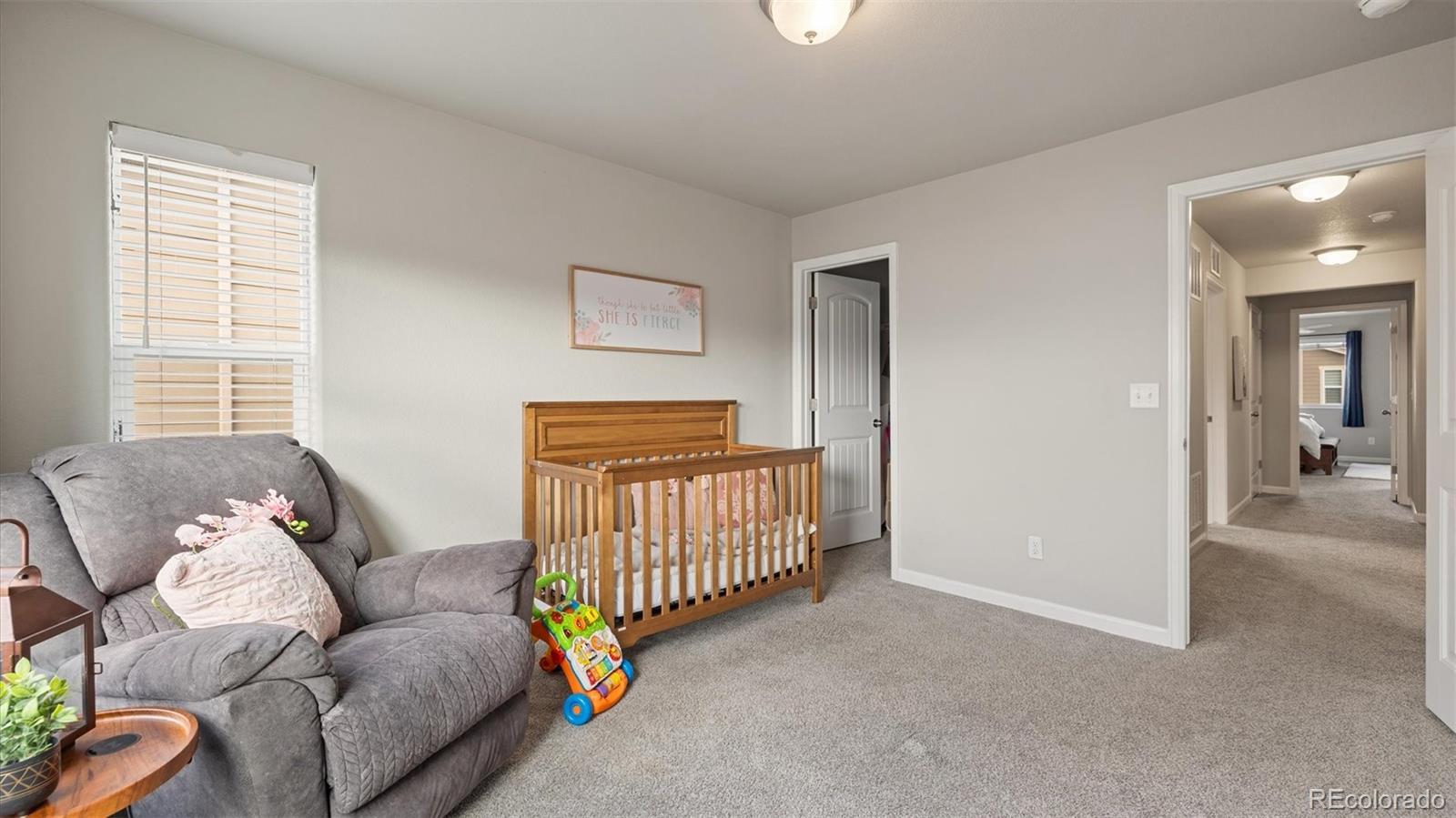 MLS Image #30 for 1008  petra heights,colorado springs, Colorado
