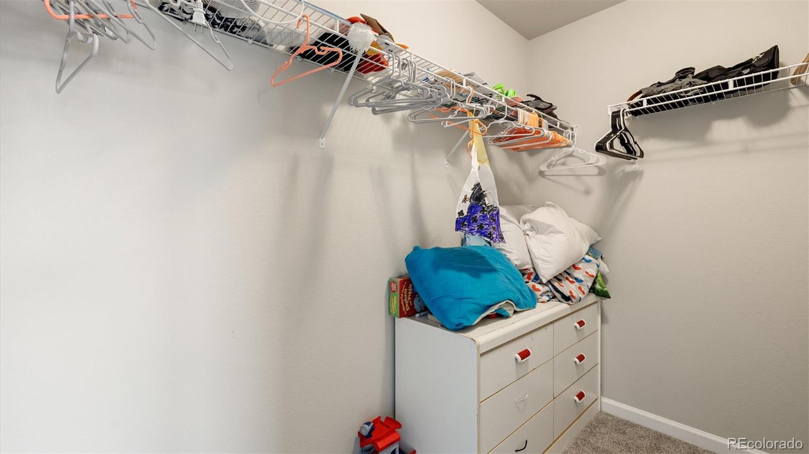 MLS Image #35 for 1008  petra heights,colorado springs, Colorado